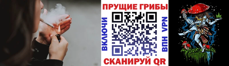 blacksprut tor  Городище  Галлюциногенные грибы Magic Shrooms  где можно купить наркотик 